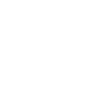 Icon LinkedIn